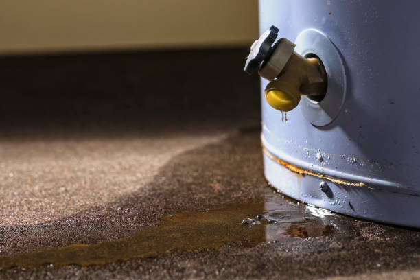 Best 24-hour water damage restoration  in Norris City, IL