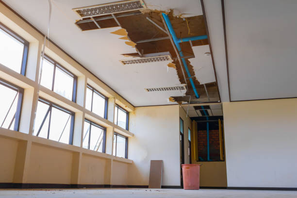 Best Mold removal after water damage  in Norris City, IL