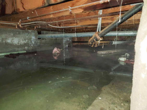 Best Emergency water damage restoration  in Norris City, IL