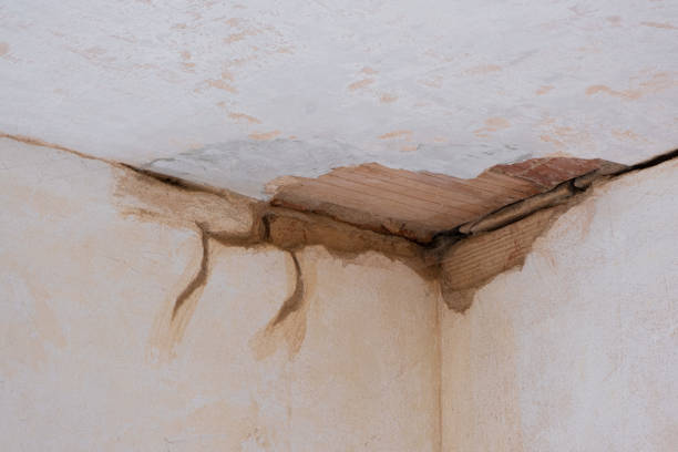 Best 24-hour water damage restoration  in Norris City, IL