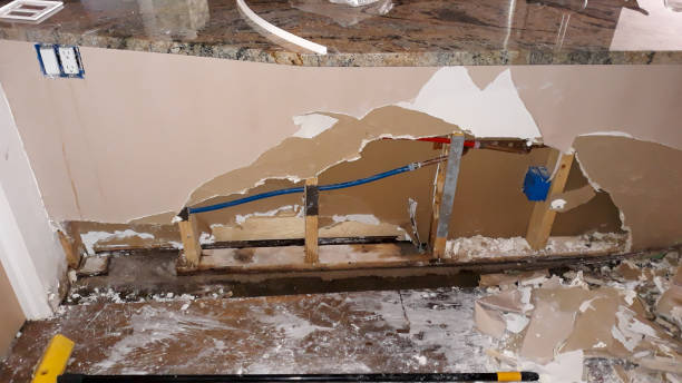  Norris City, IL Water damage restoration Pros