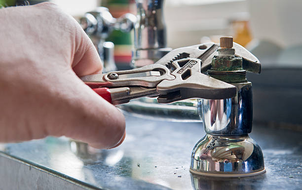 Best Water damage cleanup near me  in Norris City, IL