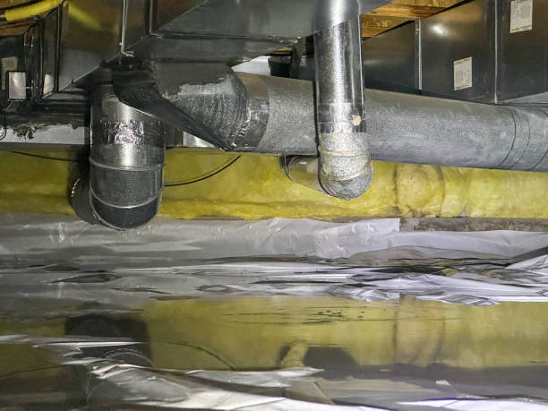 Best Professional water damage repair  in Norris City, IL