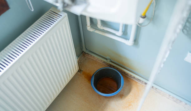 Best Flood damage cleanup  in Norris City, IL