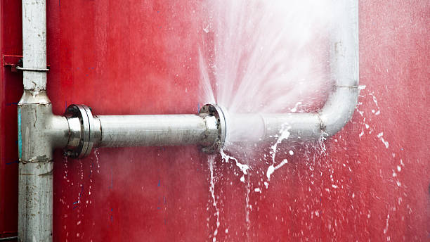 Best 24/7 water damage repair  in Norris City, IL